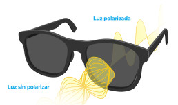 Grupo PRATS SUN USE